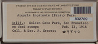 Image Associated With the Occurence